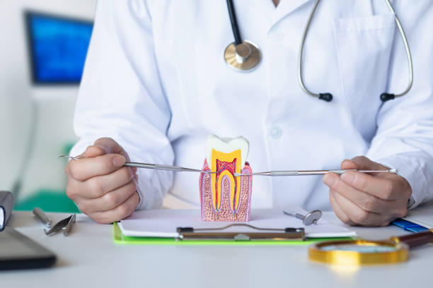 Best Emergency Treatment for Dental Infections or Abscesses in Sikeston, MO